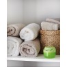 Luftentfeuchter mit Apfelduft für den Schrank