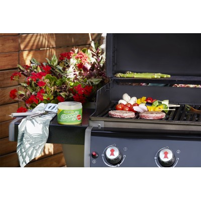 Lufterfrischer Citronella Grillen