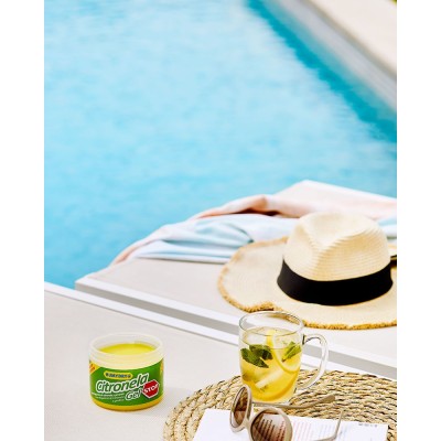 Lufterfrischer Citronella Sommer