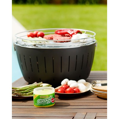 Lufterfrischer Citronella Grillen